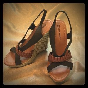 Pierre Dumas wedges